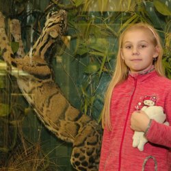 Квест в Зоологическом музее для детей